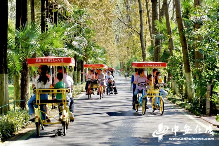 合肥萬人游園迎中秋 景區旅游觀光服務再升級